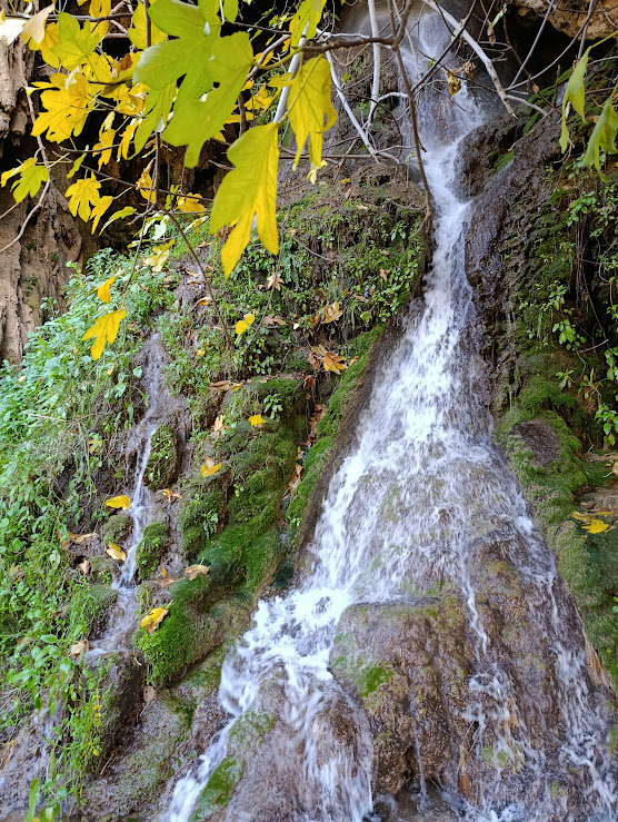 🏞️ Jour 2 – Randonnée & Soirée festive