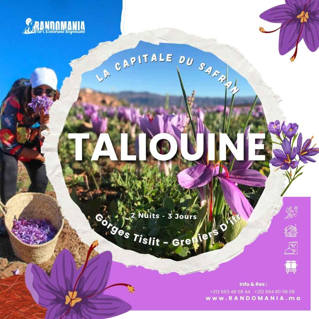 Taliouine La capitale du SAFRAN