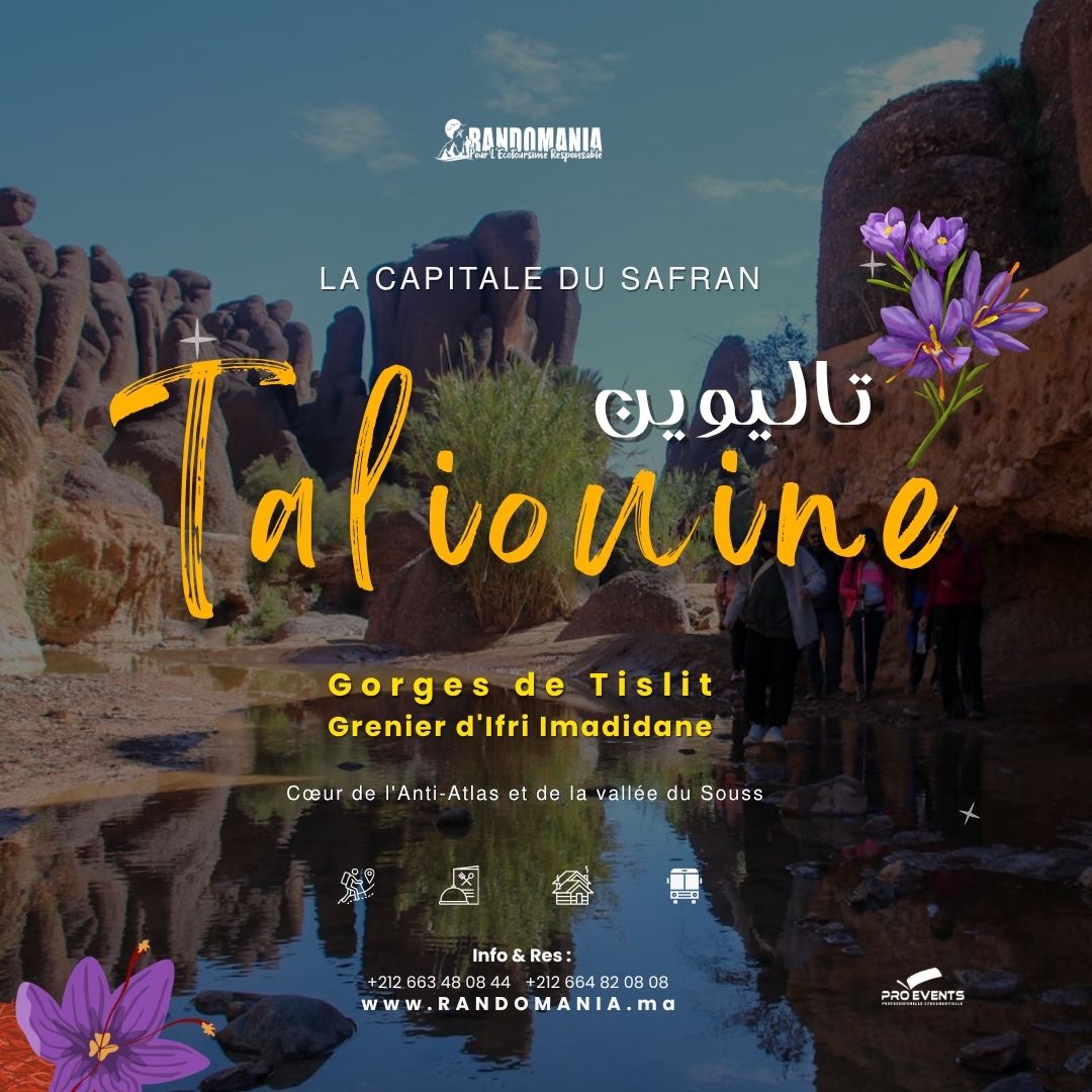Taliouine La capitale du SAFRAN